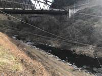 秩父フライフィールド 釣果