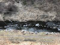 秩父フライフィールド 釣果