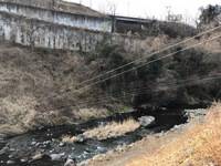 秩父フライフィールド 釣果