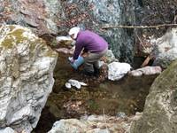 秩父フライフィールド 釣果