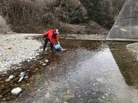 秩父フライフィールド 釣果