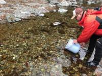 秩父フライフィールド 釣果