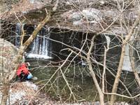 秩父フライフィールド 釣果