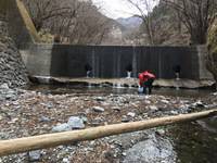 秩父フライフィールド 釣果