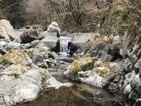 秩父フライフィールド 釣果
