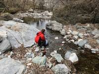 秩父フライフィールド 釣果