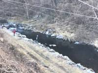 秩父フライフィールド 釣果