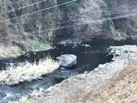 秩父フライフィールド 釣果