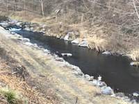 秩父フライフィールド 釣果