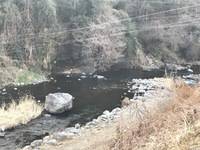 秩父フライフィールド 釣果