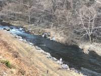 秩父フライフィールド 釣果