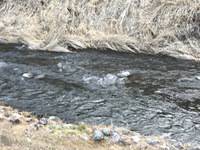 秩父フライフィールド 釣果