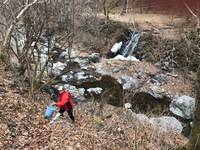 秩父フライフィールド 釣果