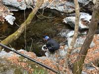 秩父フライフィールド 釣果