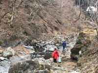 秩父フライフィールド 釣果