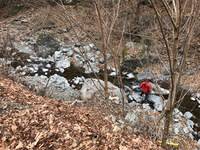 秩父フライフィールド 釣果