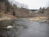 秩父フライフィールド 釣果