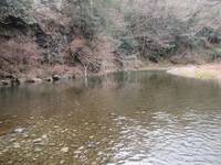 秩父フライフィールド 釣果