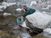 秩父フライフィールド 釣果