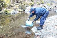 秩父フライフィールド 釣果