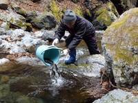 秩父フライフィールド 釣果