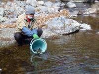 秩父フライフィールド 釣果