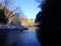 秩父フライフィールド 釣果