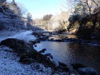 秩父フライフィールド 釣果