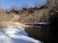 秩父フライフィールド 釣果