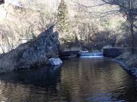 秩父フライフィールド 釣果