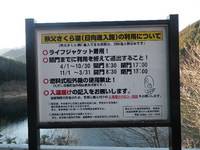 秩父フライフィールド 釣果