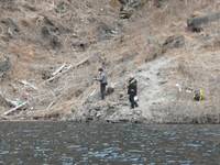 秩父フライフィールド 釣果