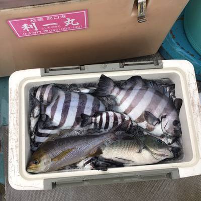 利一丸 釣果