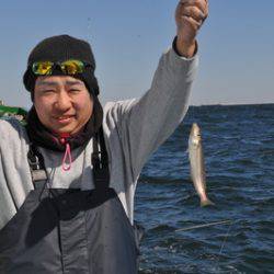 根岸丸 釣果