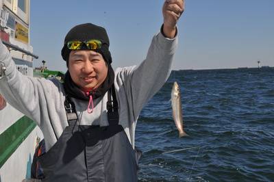 根岸丸 釣果