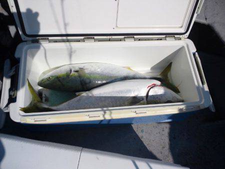 第二明康丸 釣果