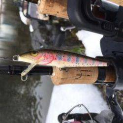 フィッシング サンクチュアリ 釣果