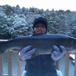 フィッシング サンクチュアリ 釣果