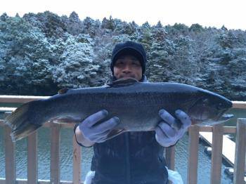 フィッシング サンクチュアリ 釣果