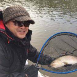 フィッシング サンクチュアリ 釣果