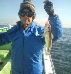 金沢八景鴨下丸 釣果