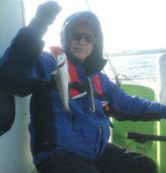 金沢八景鴨下丸 釣果