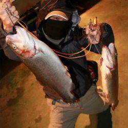 としまえんフィッシングエリア 釣果