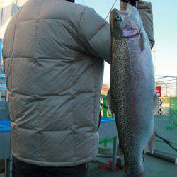 としまえんフィッシングエリア 釣果