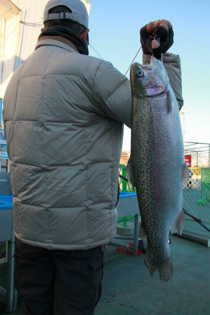 としまえんフィッシングエリア 釣果