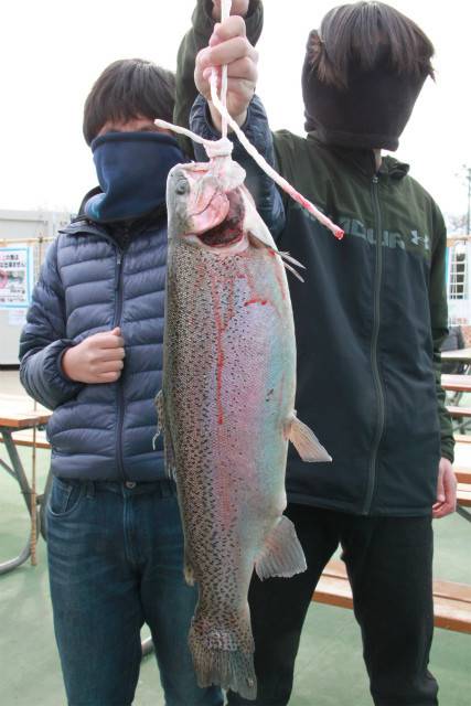 としまえんフィッシングエリア 釣果