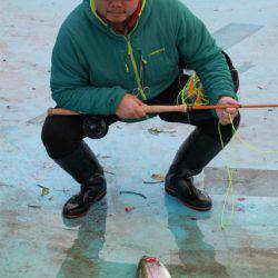 としまえんフィッシングエリア 釣果