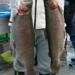 としまえんフィッシングエリア 釣果