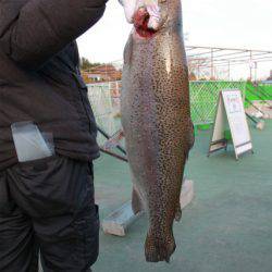 としまえんフィッシングエリア 釣果