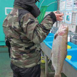 としまえんフィッシングエリア 釣果